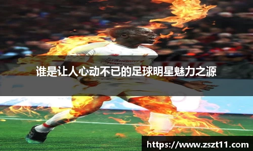 智博19有限公司